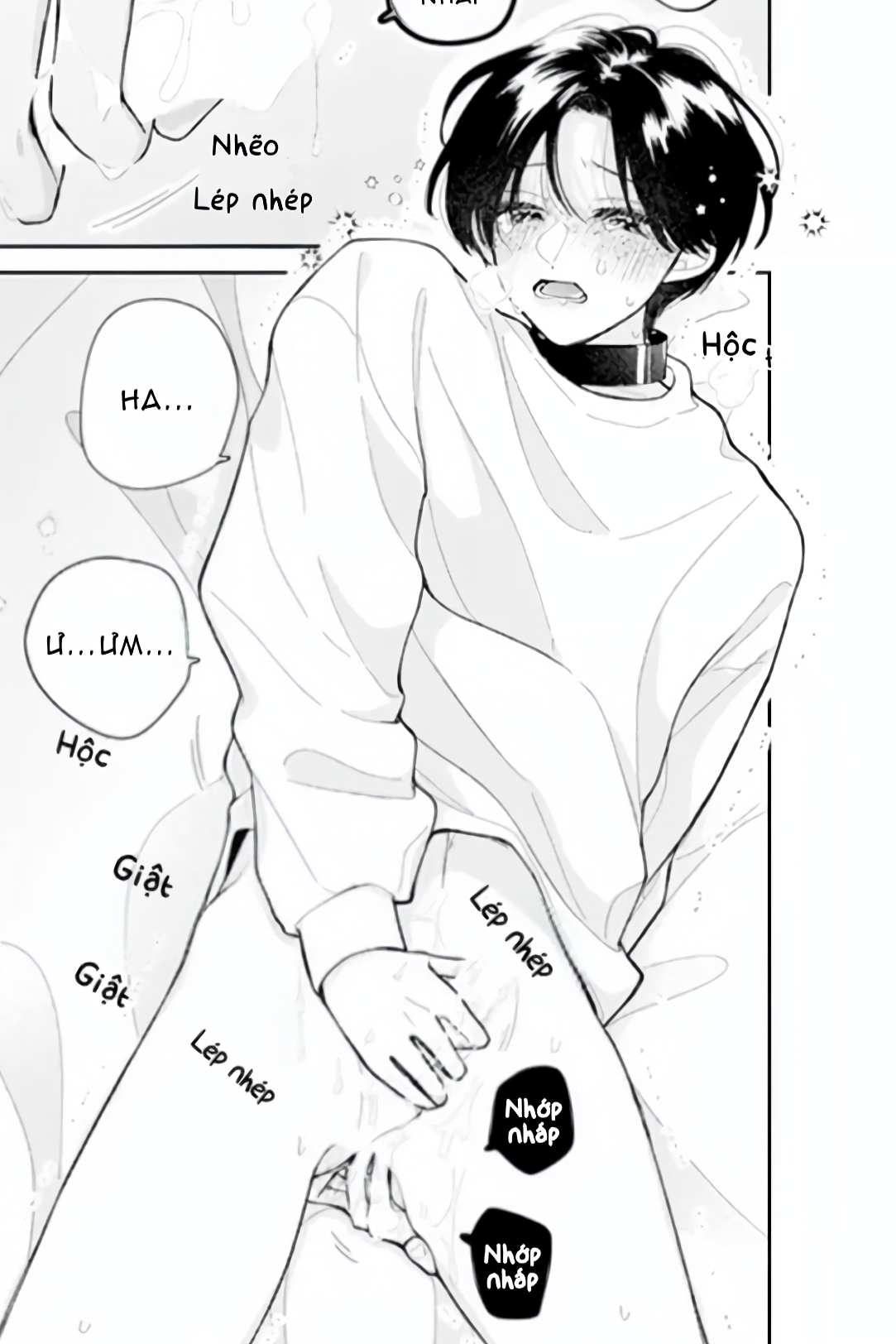 Bó Hoa Dành Dành Và Sắc Xanh Mong Manh