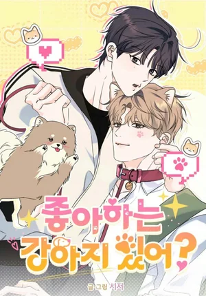 CÚN CƯNG YÊU DẤU