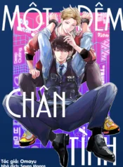 Một Đêm Chân Tình